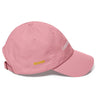 CAPITAL GAIN REAPER Dad hat - Aaronya Paints