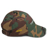CAPITAL GAIN REAPER Dad hat - Aaronya Paints